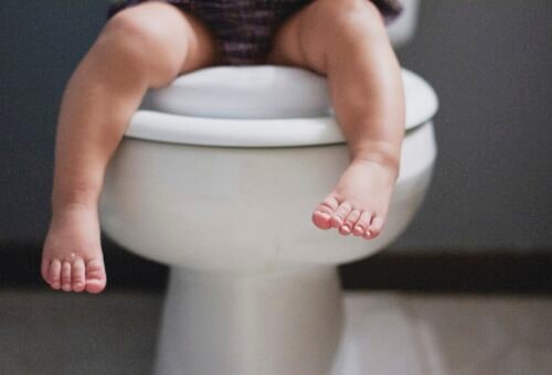 Potty training a toddler