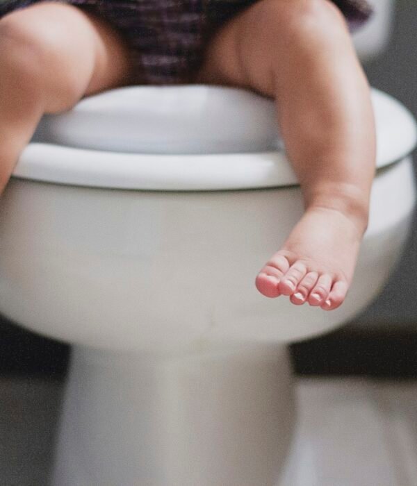 Potty training a toddler